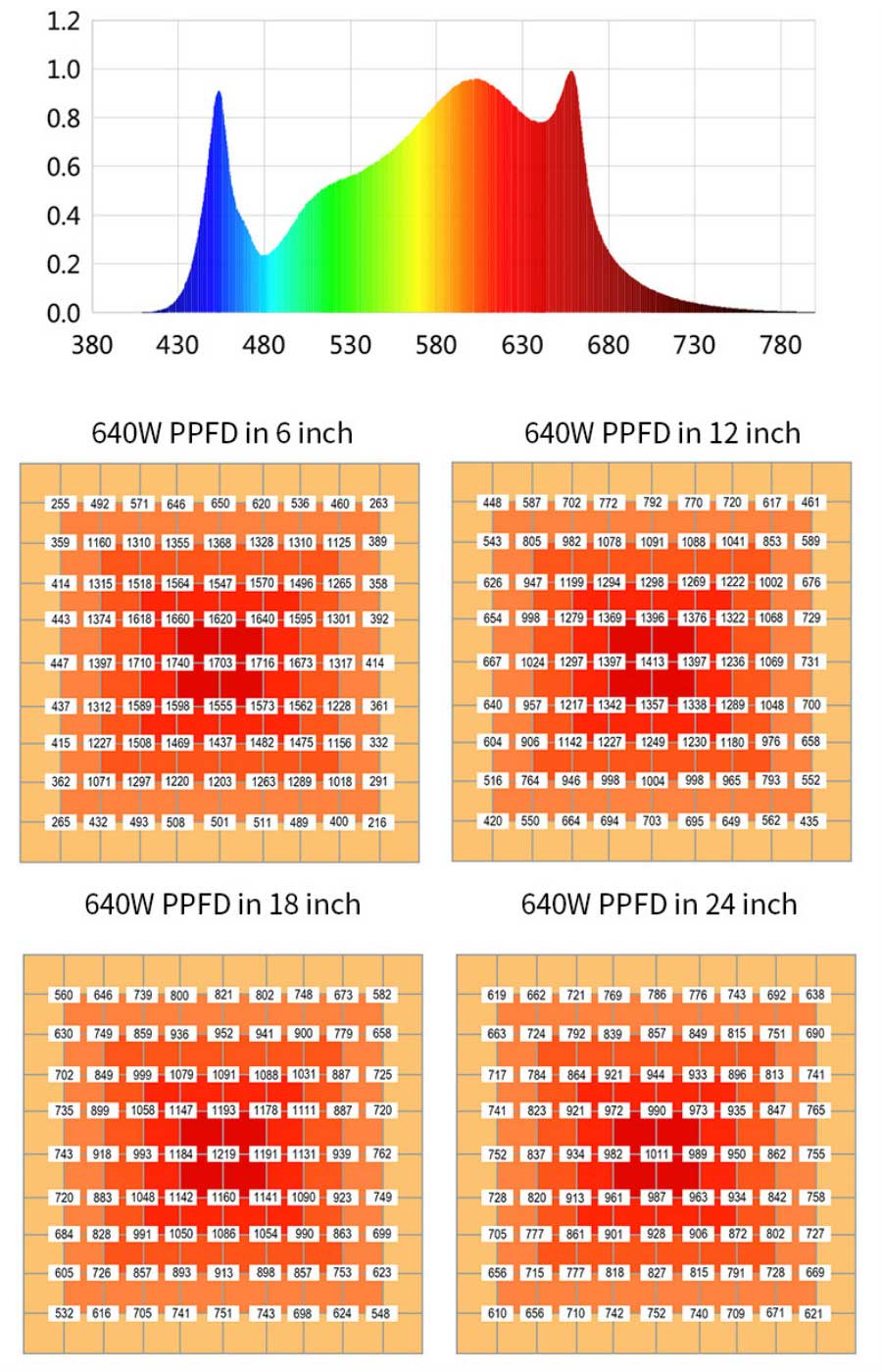 Spectrum & PPFD Test