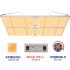 600W Silver Imitation Lumen LED Grow Light
