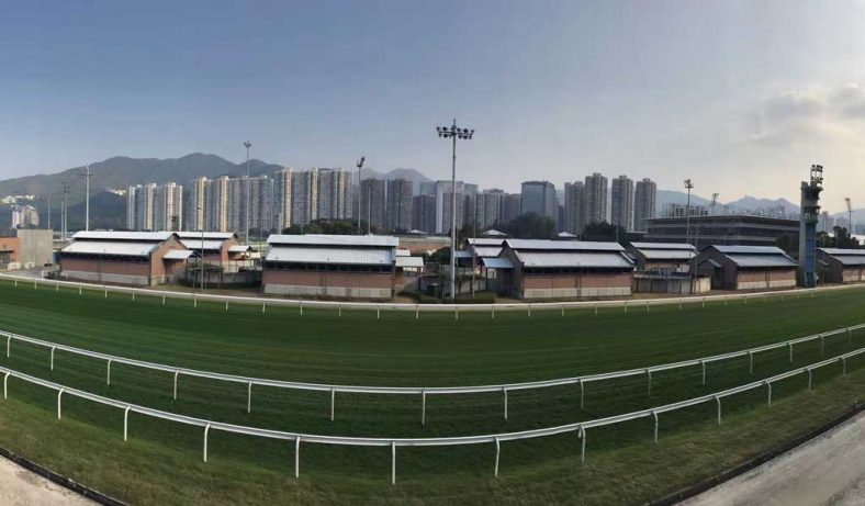 LED Horse Arena Lights