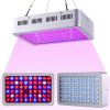 600W Silver Imitation Lumen LED Grow Light